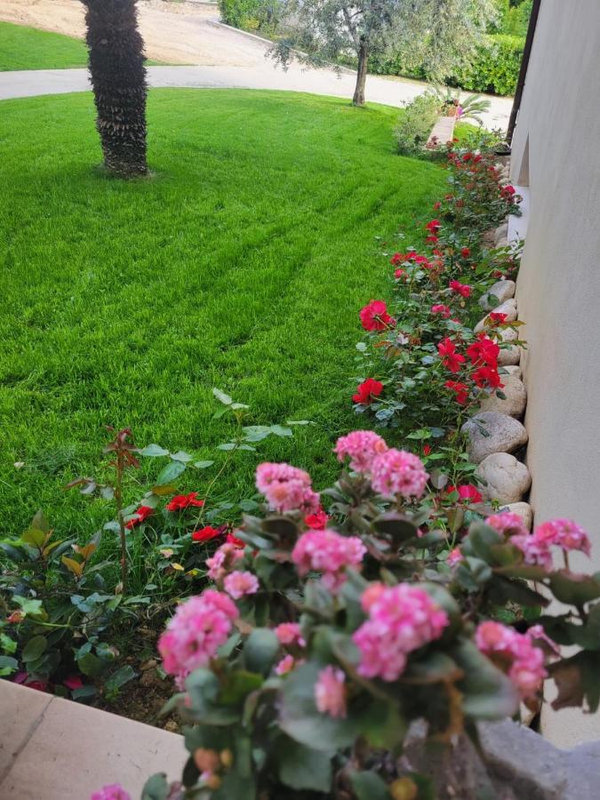 Casale Angela Daire Torrevecchia Teatina Dış mekan fotoğraf